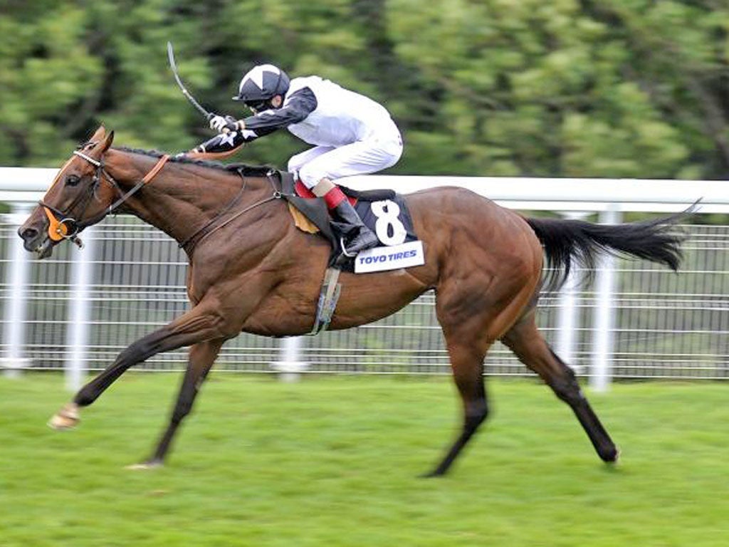 Luke Morris rides Motivado to victory at Goodwood on Saturday
