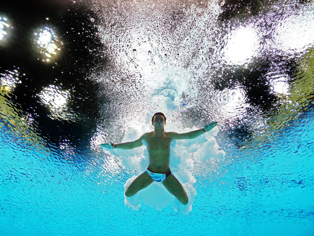 Tom Daley put in a solid rather than spectacular display to qualify fourth for the final with a score of 521.10