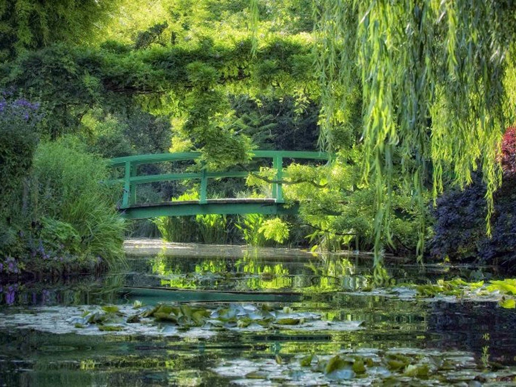 Picture perfect: Monet’s garden