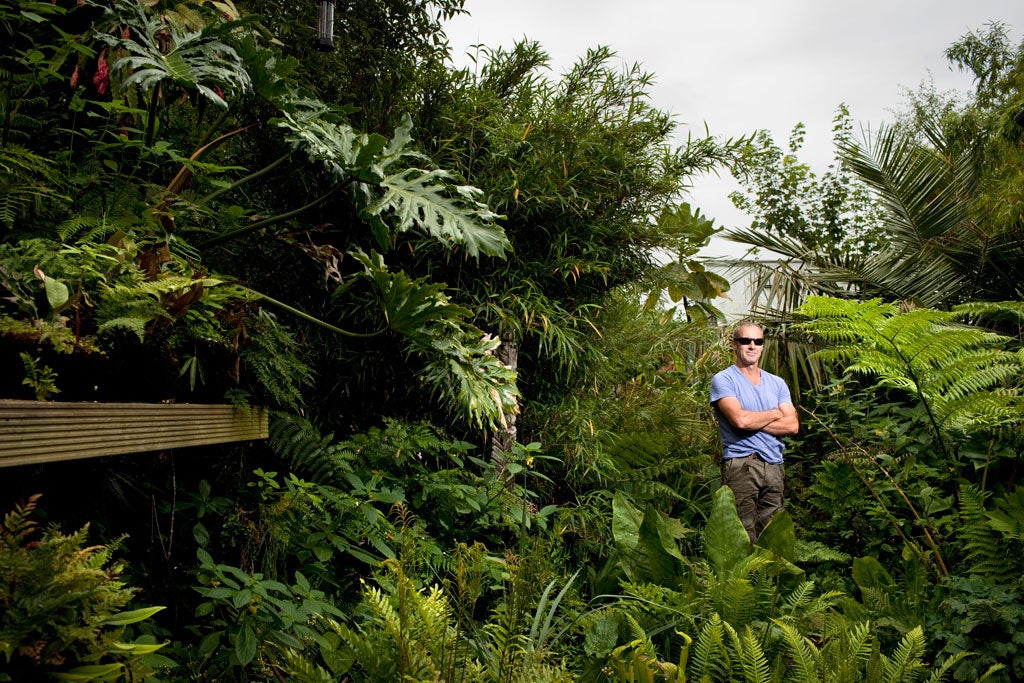 Dave Bryson in his Northwood Hills garden