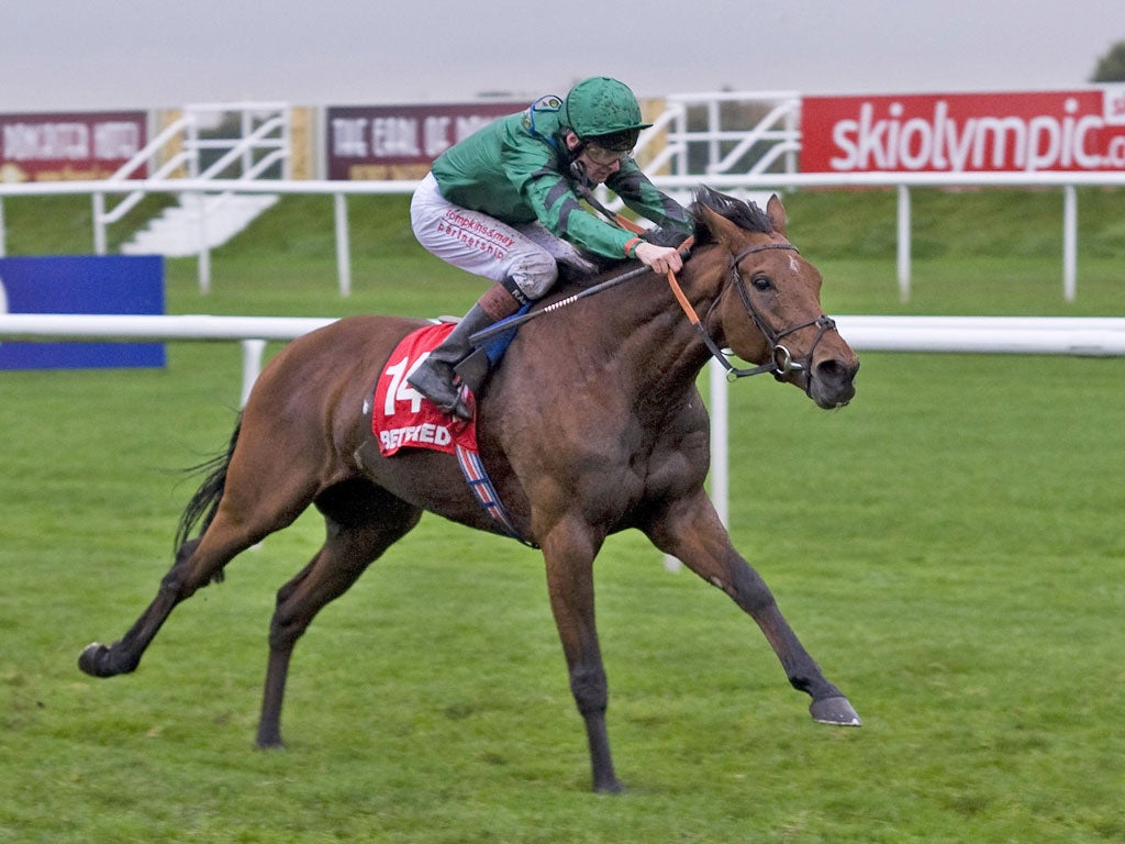 Jonh Gosden's horse Zuider Zee goes in the Arlington Million