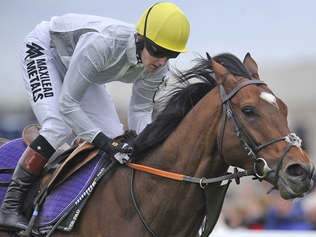 Tom Queally exercises Frankel in a Newmarket spin this year