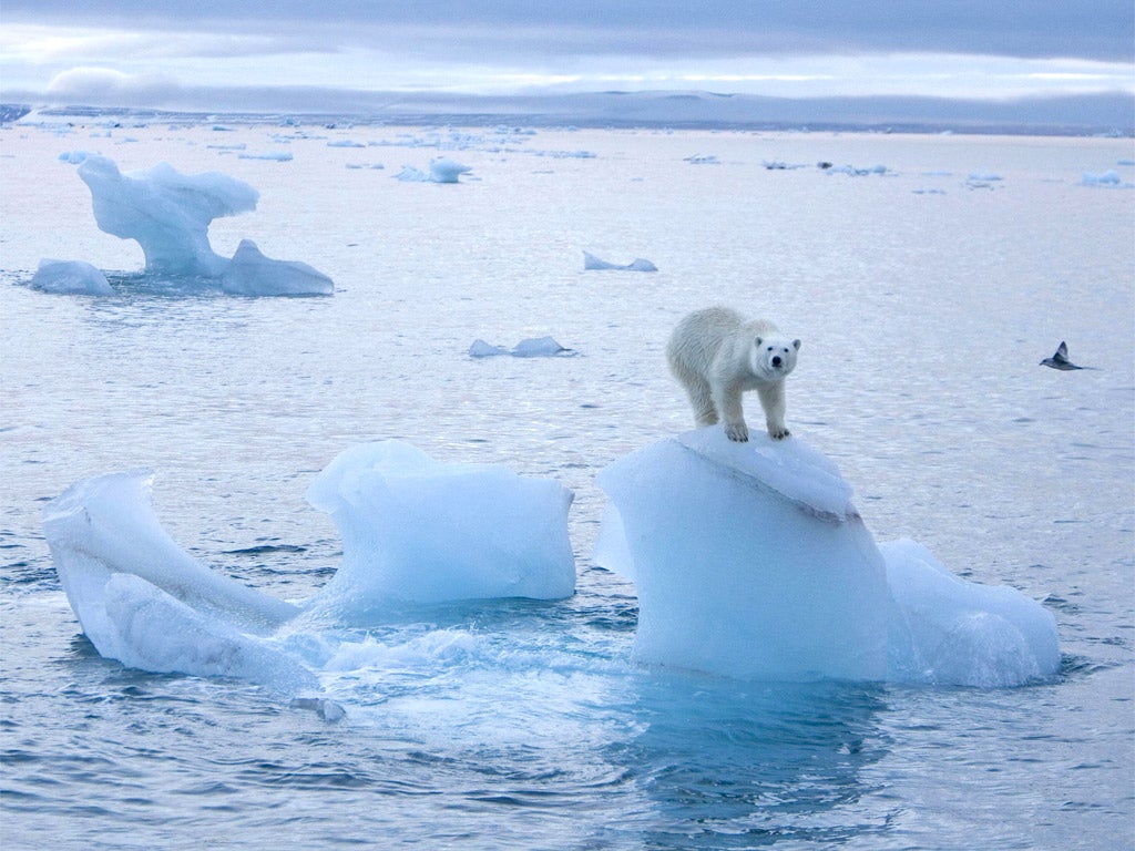 Some experts say the Arctic could be totally ice free by the summer of 2035, even if we change our ways