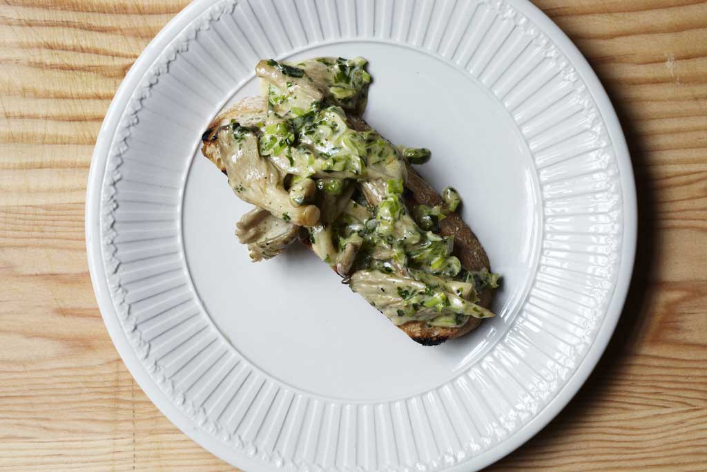 Creamed oyster mushrooms on toast