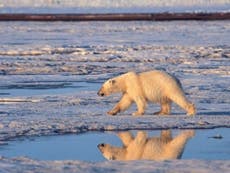 A new low for global warming: Sea ice retreats to furthest point on record