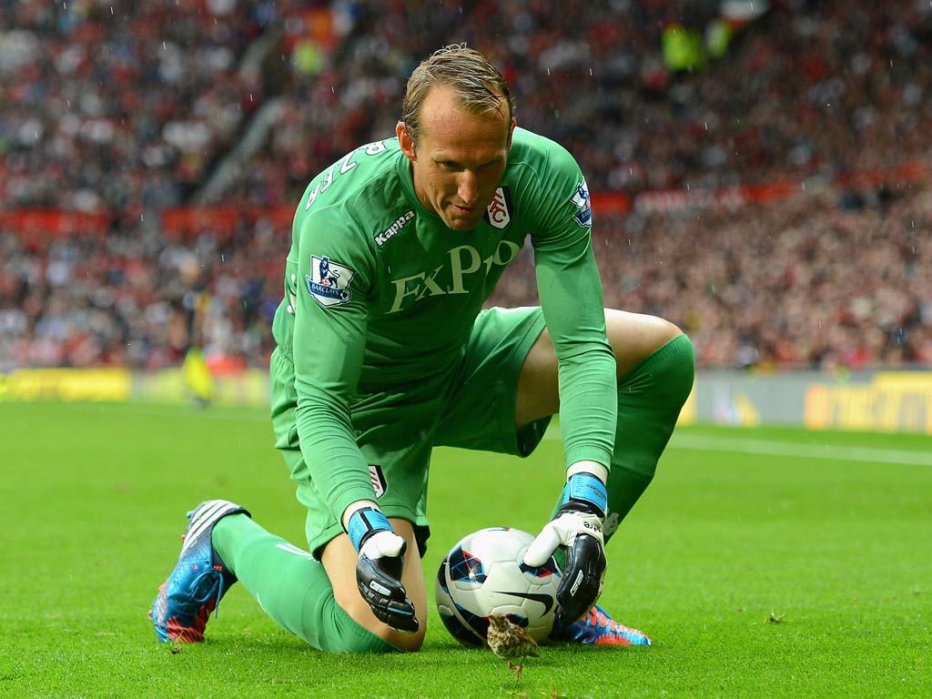 Fulham goalkeeper Mark Schwarzer