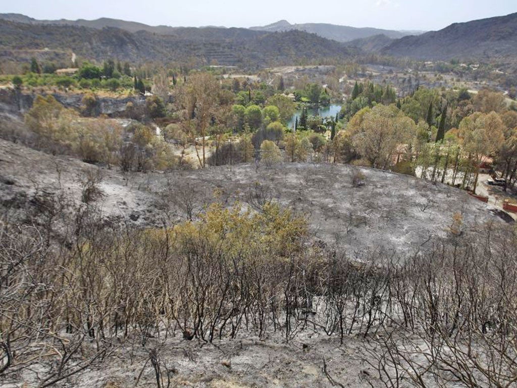 Spanish firefighters near the outskirts of Marbella