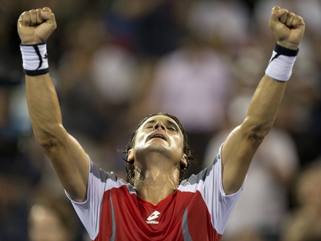 David Ferrer celebrates progress at the US Open
