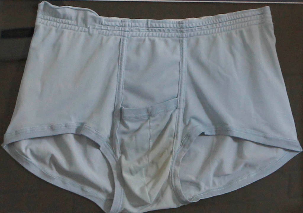 Elvis Presley's underpants failed to sell at auction