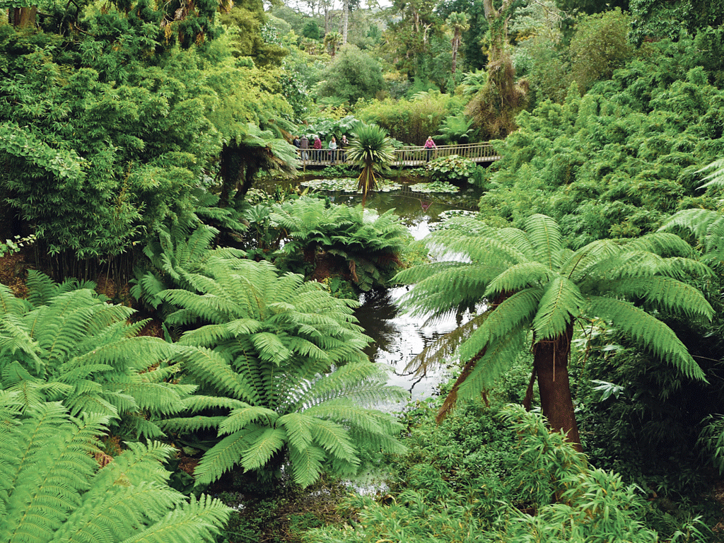 Green days: Lost Gardens of Heligan