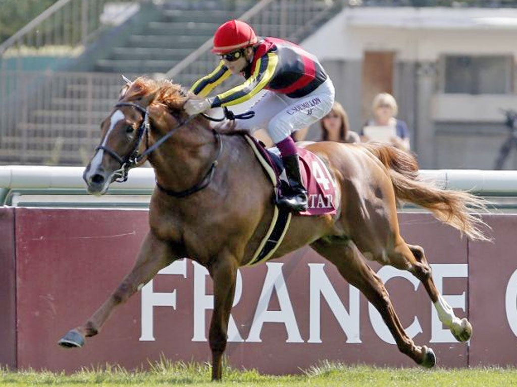 Christophe Soumillon rides Orfevre to win the Prix Foy at Longchamp yesterday