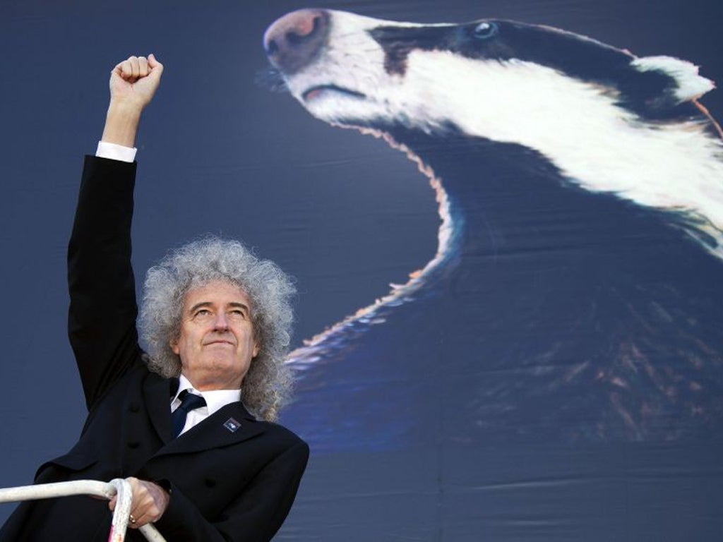 Brian May gestures as he stands on a cherry picker to launch the national Team Badger campaign