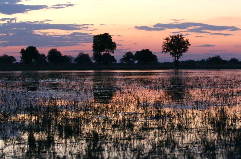 The Okavango Delta in Botswana; a canoe trip is the ideal way to see it