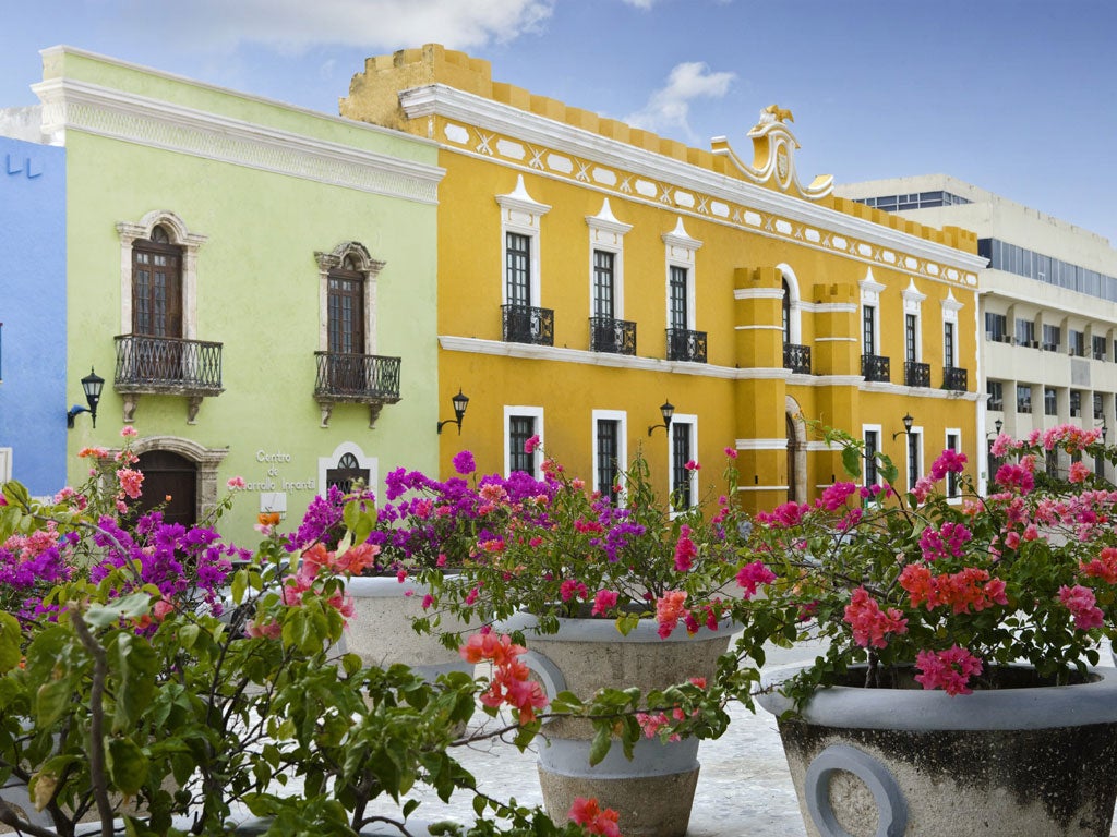 Old meets new: The city of Campeche in bloom