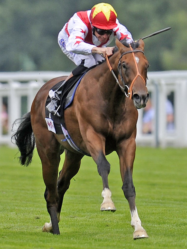 Havana Gold, Richard Hannon's first string at Newmarket today