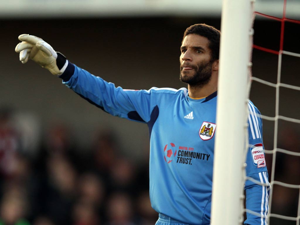 Goalkeeper David James