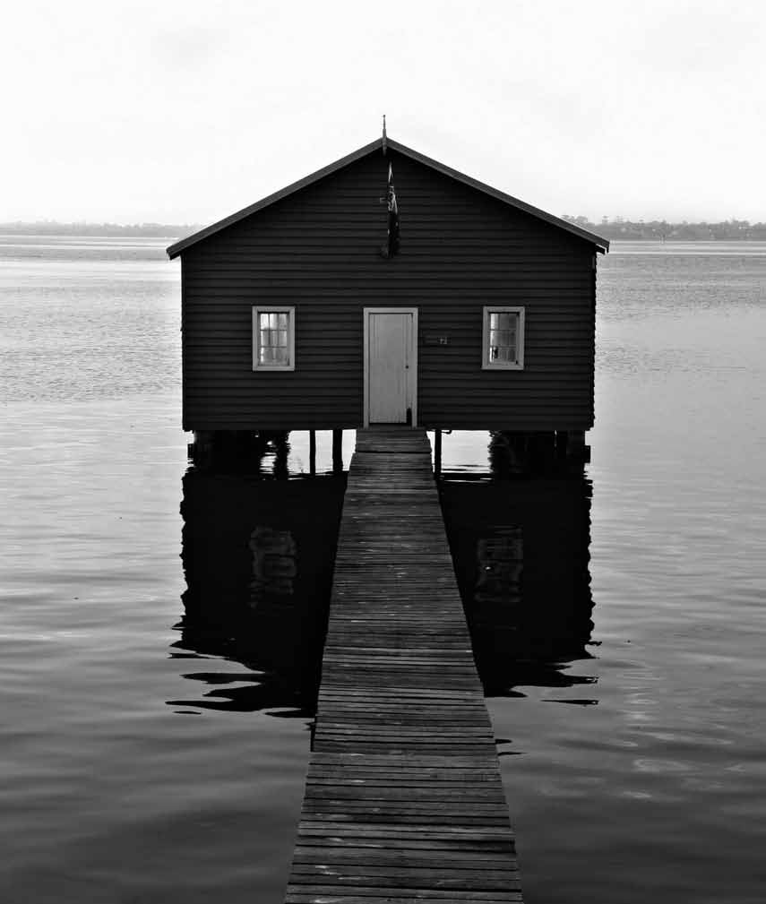 We tried various positions - round the back, on the side, up against a wall...but in the end we came to
the conclusion that the bottom of the garden was the only place for a really good shed.