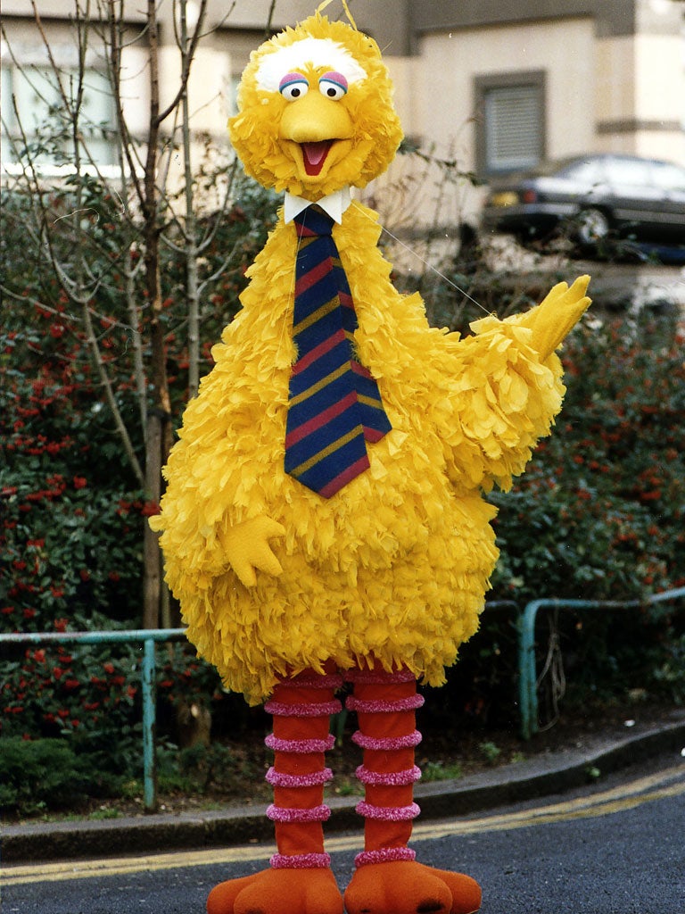 If Sesame Street is cancelled, Big Bird can work as a stud at an intensive chicken farm in Ohio