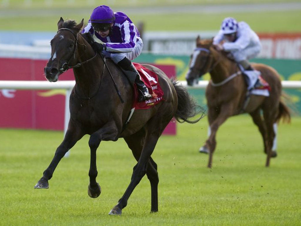 Camelot has been handed a favourable low draw tomorrow at Longchamp