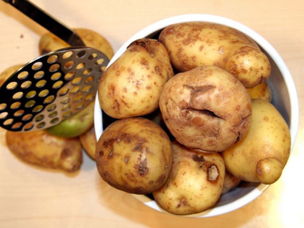 Large stores such as Sainsbury’s have begun stocking small and scarred potatoes