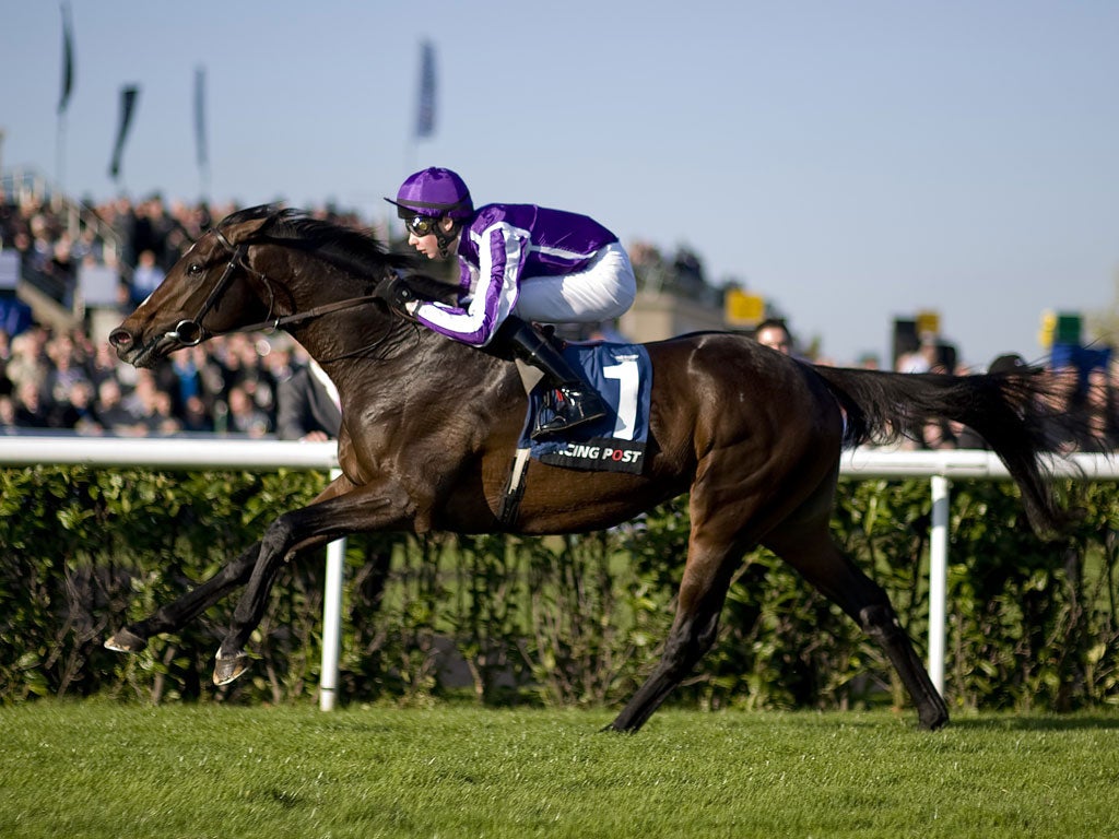 Super sub: Camelot will be Frankie Dettori's 25th consecutive ride in the Arc as Joseph O'Brien is too heavy