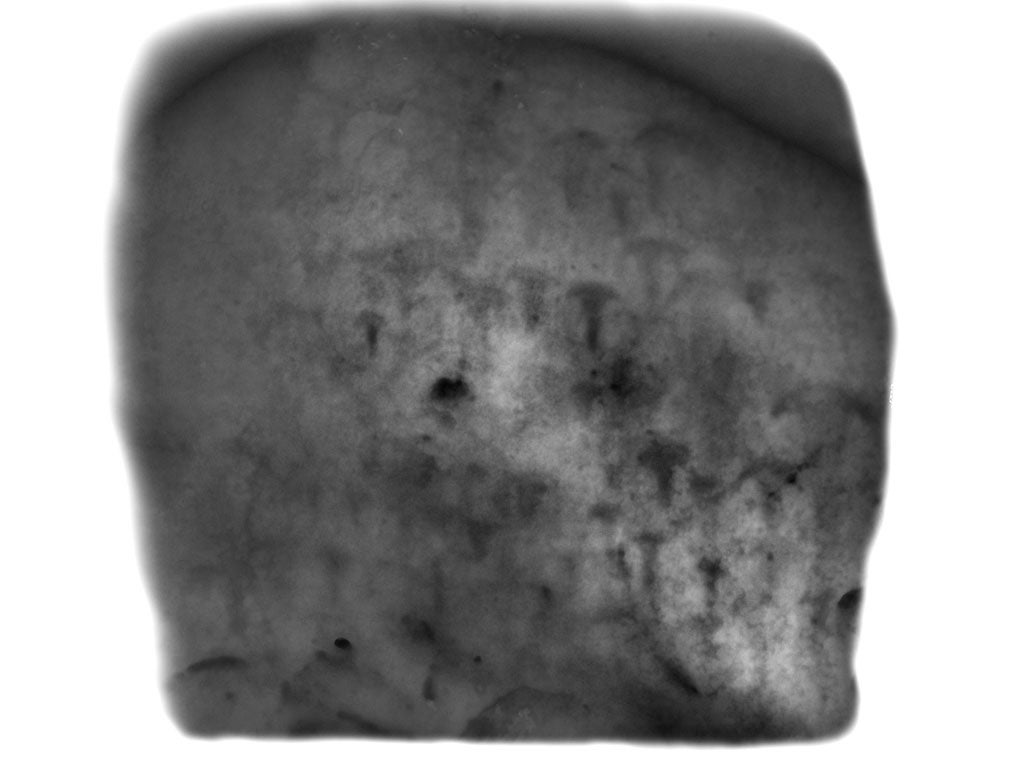 Ghostly images: a laser-scan-derived image of the largest panel of axe-head carvings at Stonehenge. 75% of the carvings in this image were not previously known.