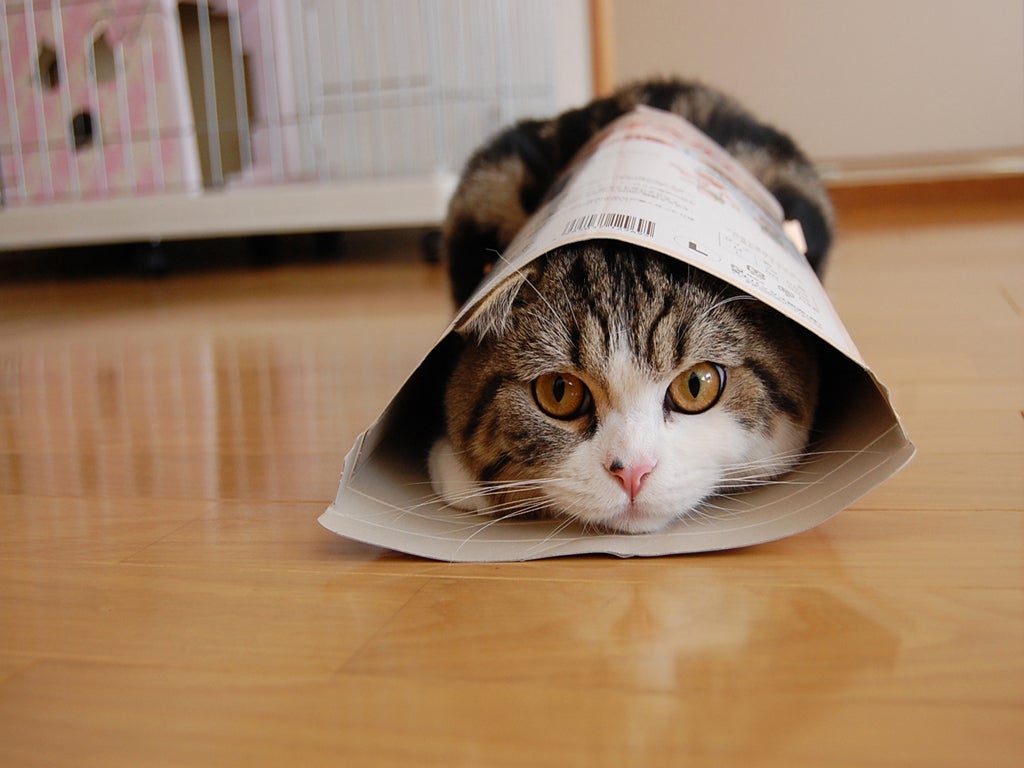 Maru