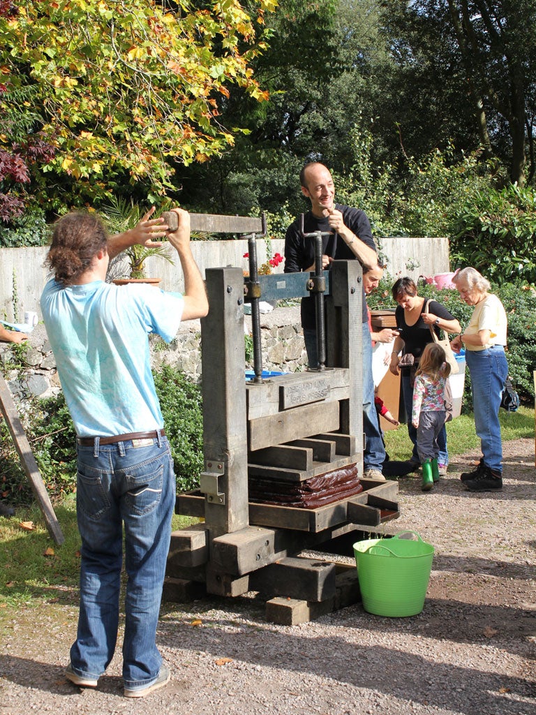 Core values: apple pressing at Sharpham Estate