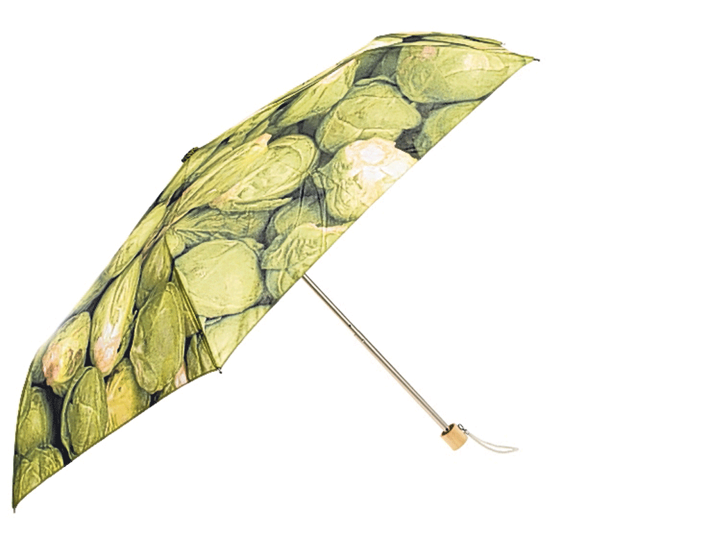 <p>1. London Undercover Brussels Sprout</p>
<p>£30, liberty.co.uk</p>
<p>Endearingly kooky and light enough to slip into your bag. Has a wooden handle and cotton strap.</p>