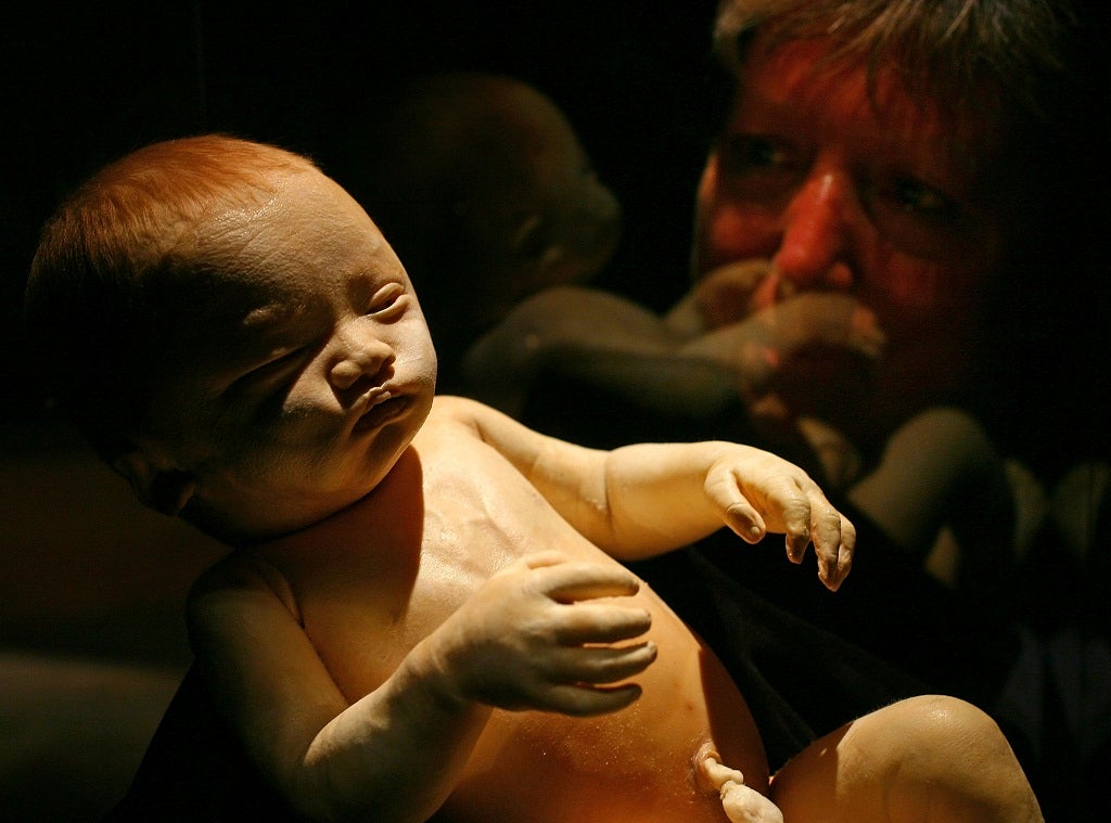 A visitor views a plastinated cadaver of a 36 week old foetus on show at BODY WORLDS 4 by Professor Gunther Von Hagens at Manchester Museum of Science