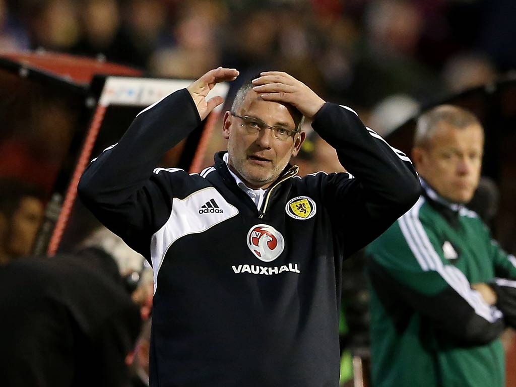 Scotland manager Craig Levein