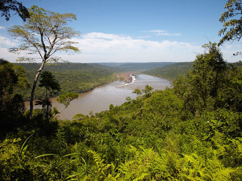 Lot 8 is a 9,300-acre stretch of Atlantic rainforest across the Uruguay river from Brazil