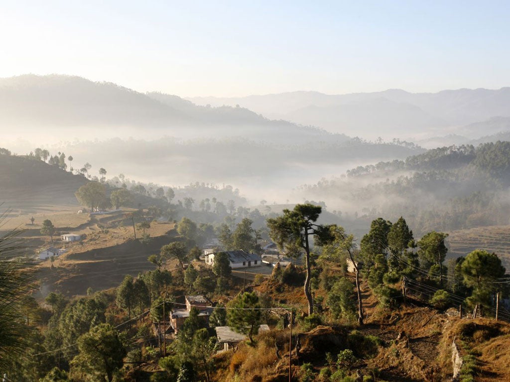 In the fold: dawn in the Kumaon Hills