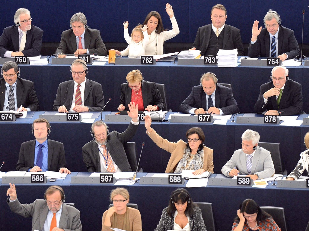 Euro MPs, including the Italian deputy Licia Ronzulli and her daughter Victoria, top row, at the European Parliament in Strasbourg yesterday