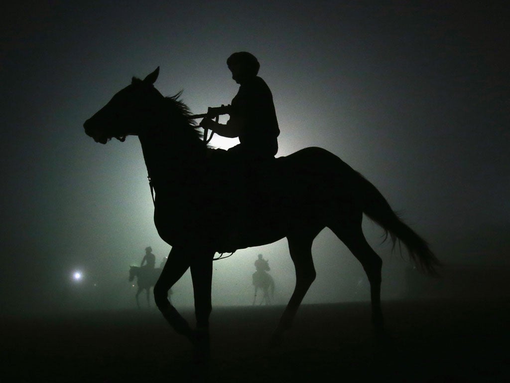 Horses head back to the stable after training in preparation for the Breeders' Cup at Santa Anita, California