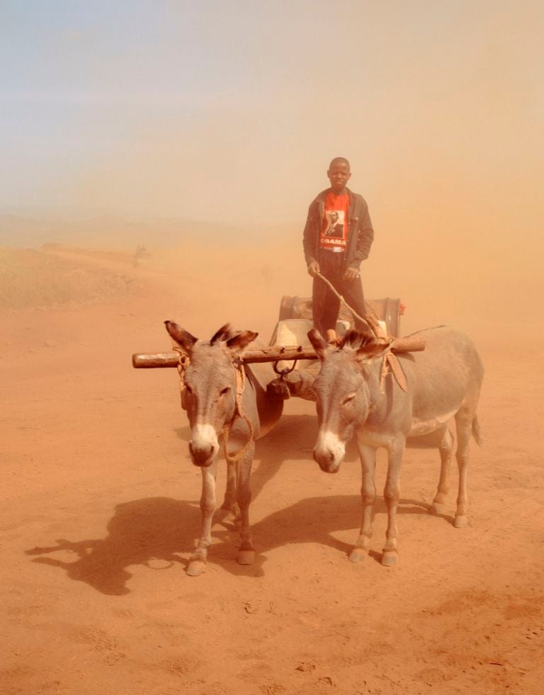 Godlisten on donkey cart, Tanzania