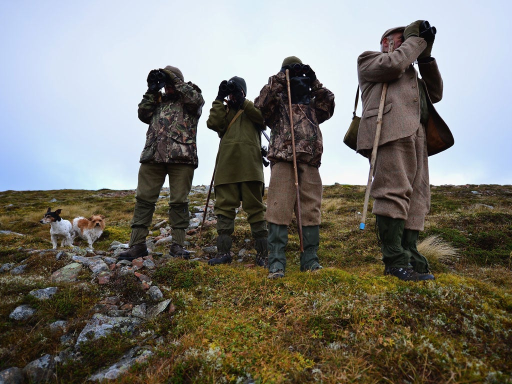 Game season: Deer stalking in Scotland