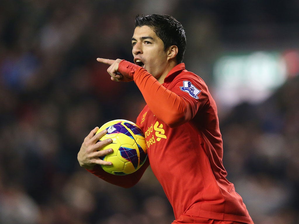 Suarez celebrates scoring his equaliser for Liverpool