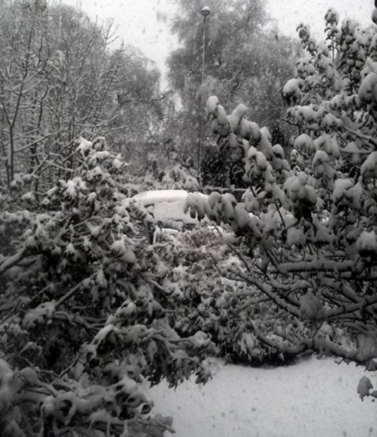 A shower of snow covers trees in Bath, Somerset earlier this month