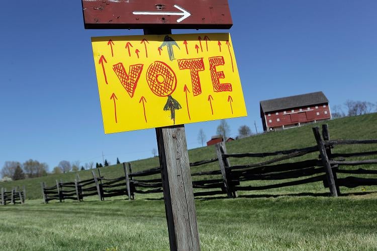 One woman's determination to vote caught the imagination of America