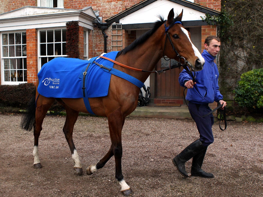 Blaze of glory: Overturn is 8-1 for the Arkle Trophy after winning by 14 lengths on his debut over fences yesterday