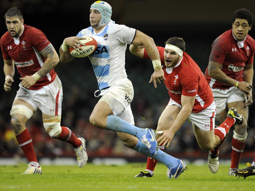 Wales are left trailing as Argentina’s Juan Manuel Leguizamon makes a break on Saturday