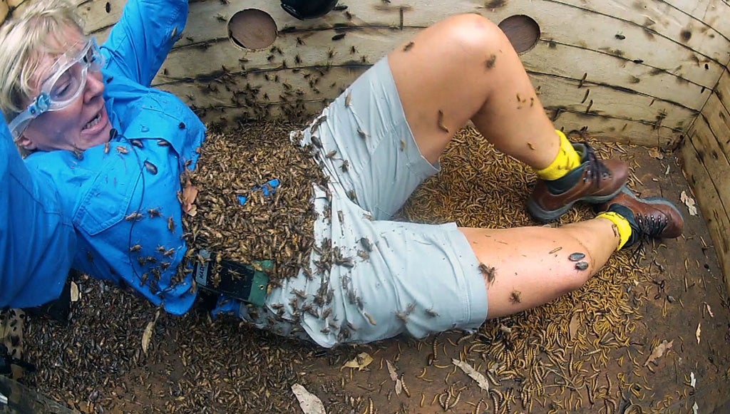 Nadine Dorries experiences the Bush Tucker trial 'Bug Burial' on I'm A Celebrity...Get Me Out Of Here!'