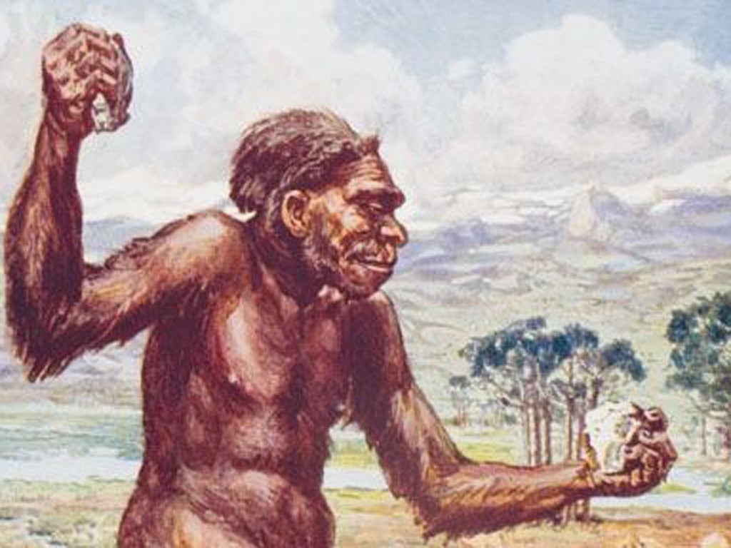 Hunter-gatherer man
The human brain and its immense capacity for knowledge evolved during this long period of prehistory when we battled against the elements
