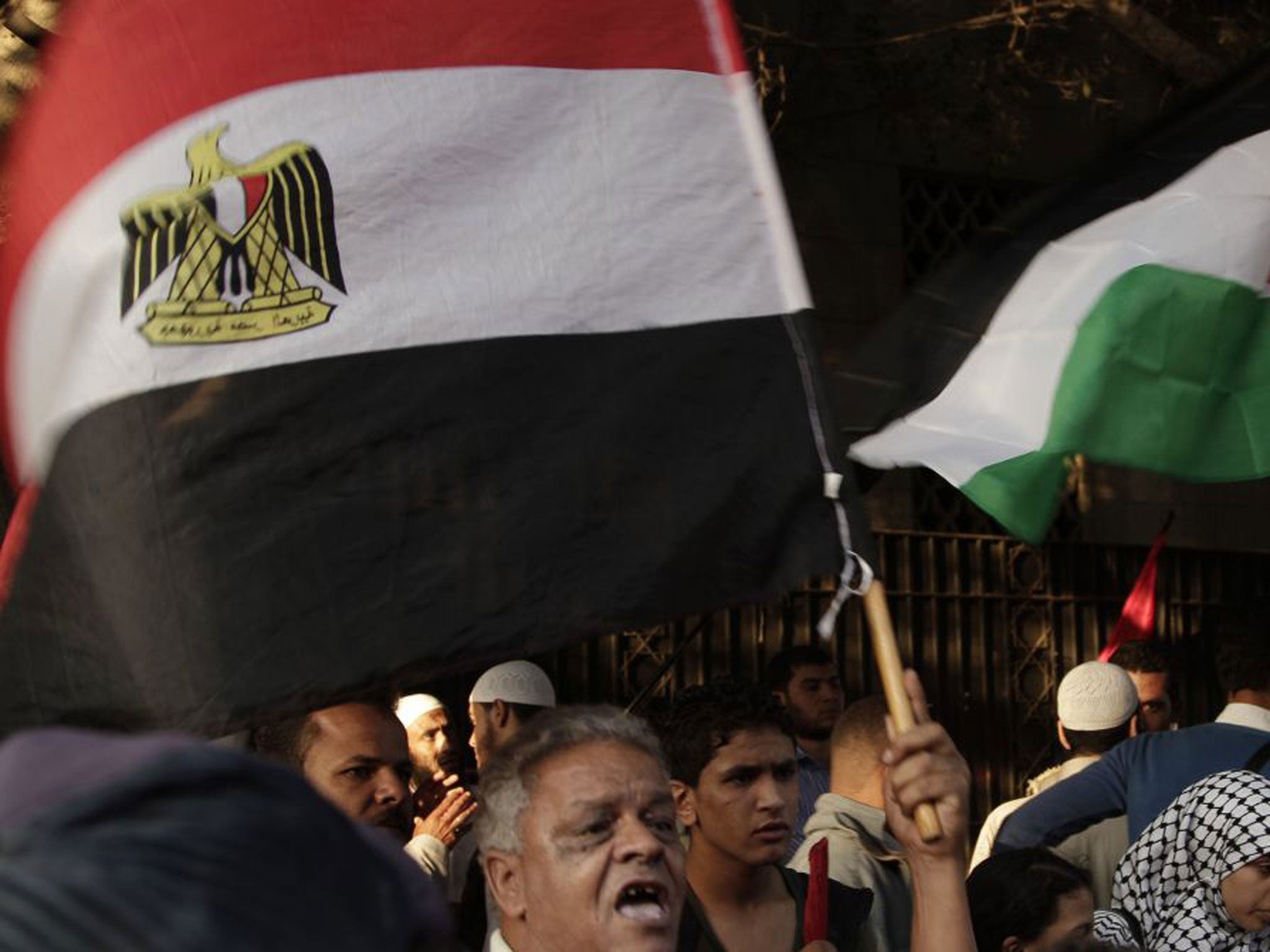 Protesters wave Egyptian and Palestinian flags during a protest in solidarity with Gaza in Cairo yesterday