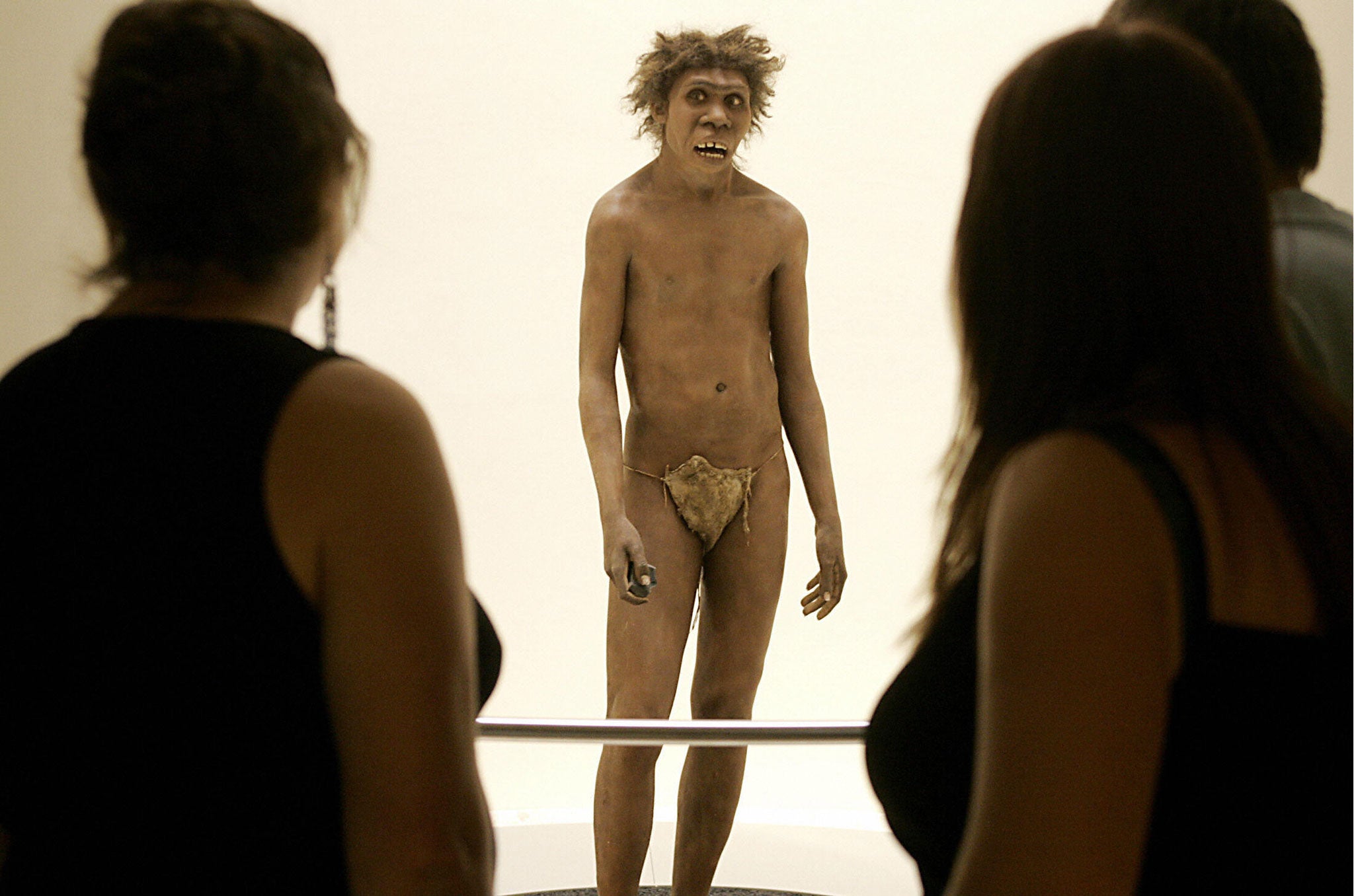 A picture taken 19 July 2004 shows visitors of the Museum for Prehistory in Eyzies-de-Tayac looking at a Neanderthal man ancestor's reconstruction.