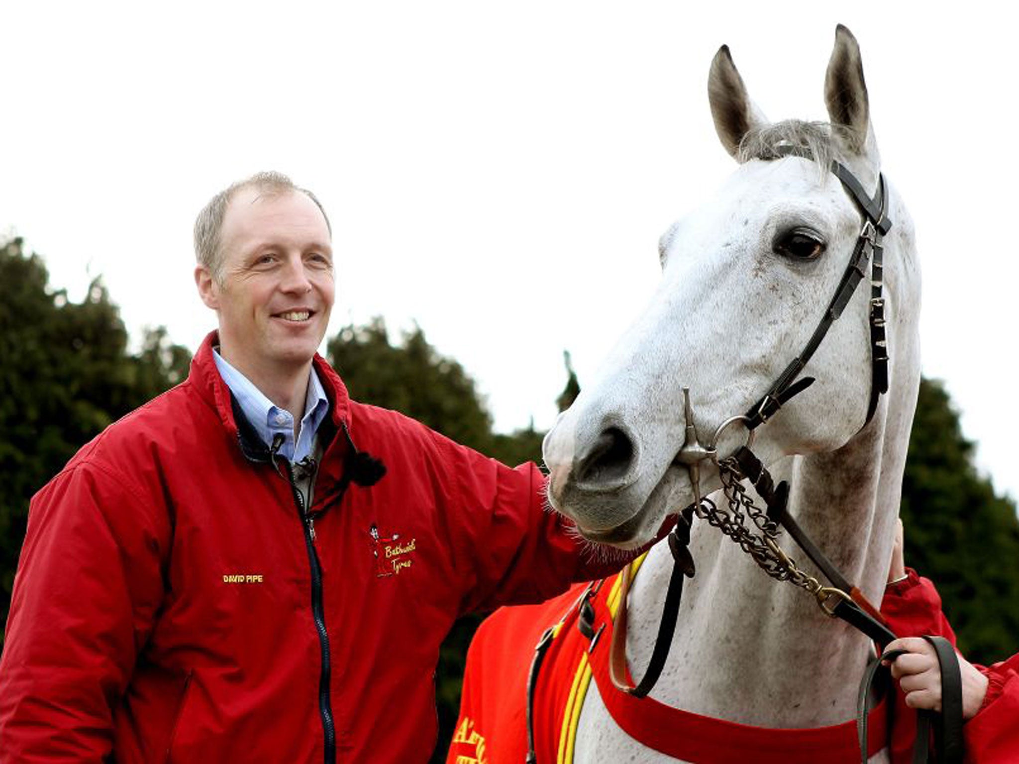 Another grey trained by David Pipe, Dynaste