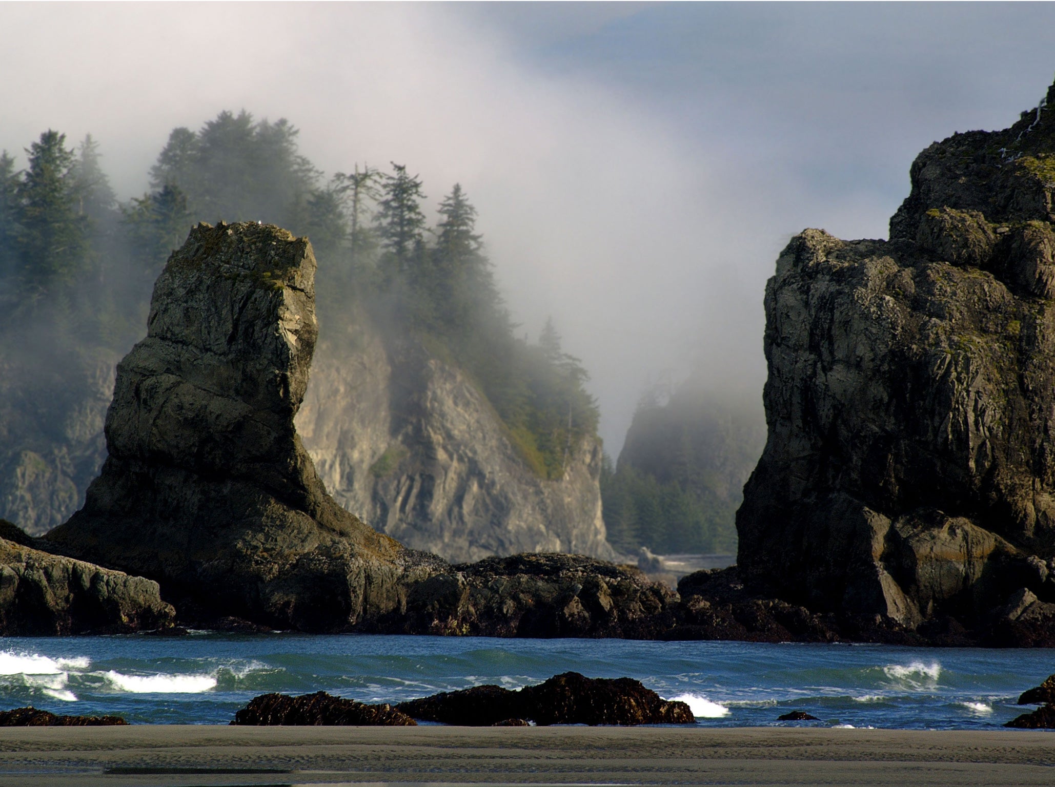 The Olympic National seashore