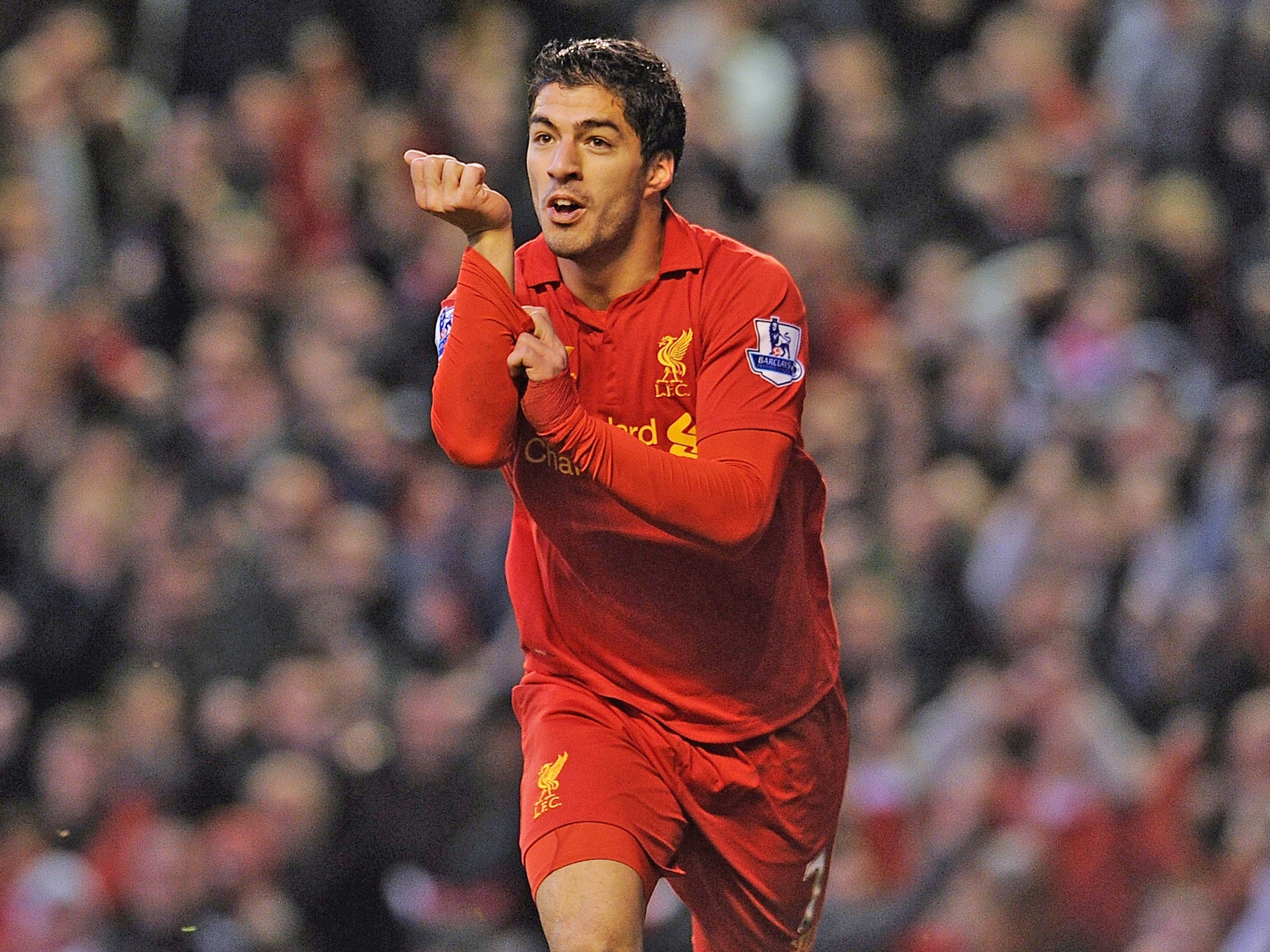 Luis Suarez celebrates scoring for Liverpool