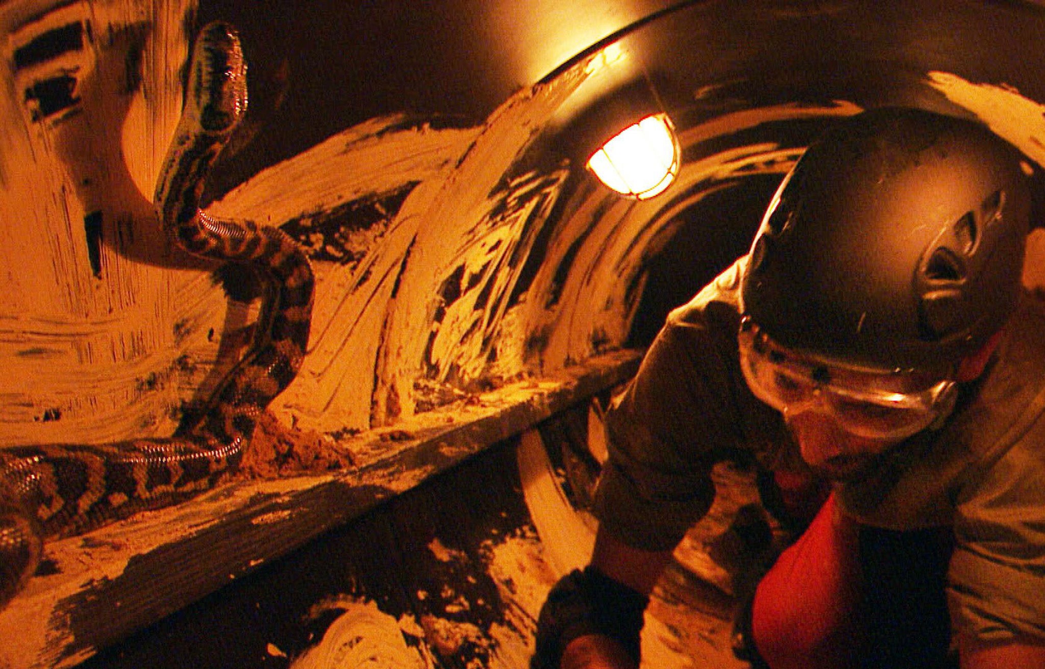 Hugo Taylor faces the 'savage sewer' bushtucker trial on 'I'm A Celebrity...Get Me Out Of Here!'